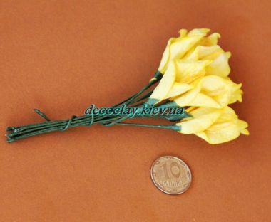 Калла 10 штук в пучке ― Hobby-Land