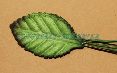 Лист универсальный декоративный  10шт в пучке ― Hobby-Land