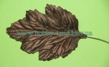 Лист дуб  ― Hobby-Land
