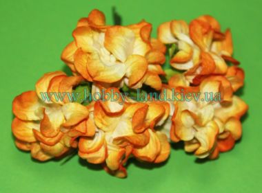 Гардении  крупные  5шт в пучке ― Hobby-Land