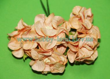 Гардении  крупные  5шт в пучке ― Hobby-Land