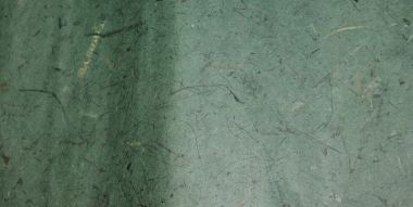 Бумага №6 однотонная с вкраплениями листьев и травы - морская волна ― Hobby-Land