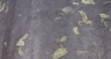 Бумага №8 однотонная с вкраплениями листьев и травы - серый графит ― Hobby-Land