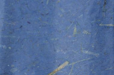 Бумага №4 однотонная с вкраплениями листьев и травы синяя ― Hobby-Land