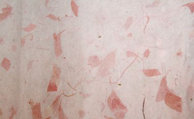 Бумага №13  однотонная с вкраплениями листьев и травы бледно-розовая ― Hobby-Land