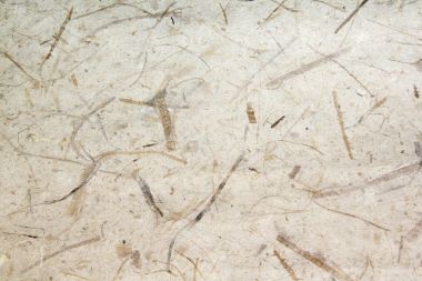 Бумага №15 однотонная с вкраплениями листьев и травы кремовая ― Hobby-Land