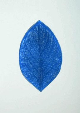 Молд листа универсального (general) ― Hobby-Land