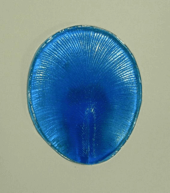 Молд лепестка катлеи  ― Hobby-Land