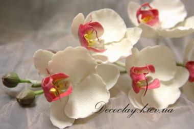 Керамическая флористика (холодный фарфор) ― Hobby-Land