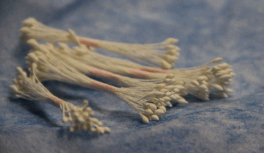 Остроконечные  белые тычинки ― Hobby-Land