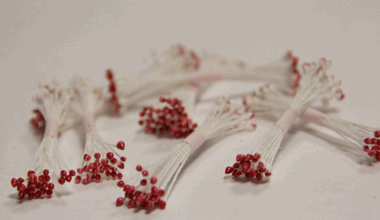 Бело-красные остроконечные тычинки ― Hobby-Land