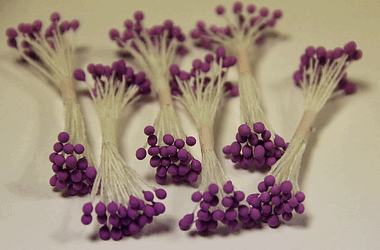 Сиреневые круглые тычинки ― Hobby-Land