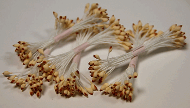 Биколор кремовые с коричневым кончиком ― Hobby-Land