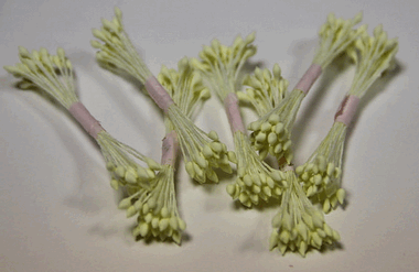 Остроконечные светло-желтые тычинки ― Hobby-Land