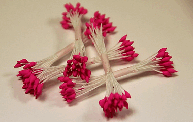 остроконечные фуксия тычинки ― Hobby-Land