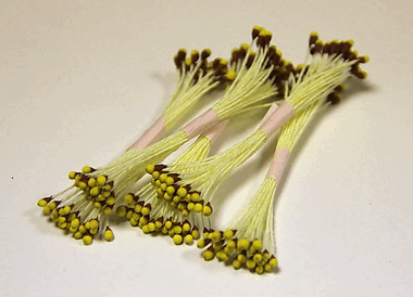 Земляничные коричневые тычинки ― Hobby-Land