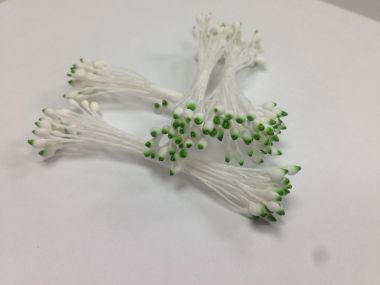 Белые остроконечные тычинки с зеленым кончиком ― Hobby-Land