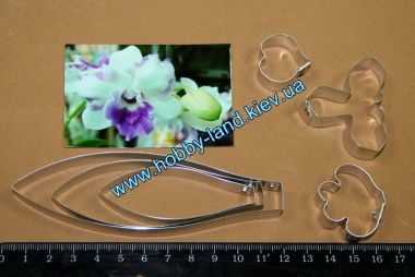 Каттер Дендробиум  М  ― Hobby-Land