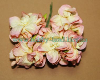 Гардении  крупные  5шт в пучке, желто-розовый ― Hobby-Land
