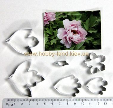 Каттер Пиона древовидного M ― Hobby-Land