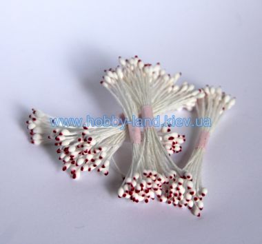 Большие белые остроконечные тычинки с красным кончиком ― Hobby-Land