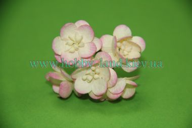 Цветы вишни бело-розовые -  5 штук в 1 пучке  ― Hobby-Land