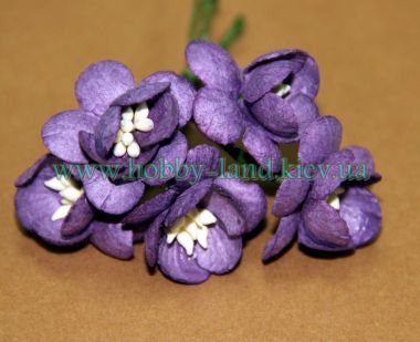 Цветы вишни фиолетовые- 5 штук в 1 пучке  ― Hobby-Land