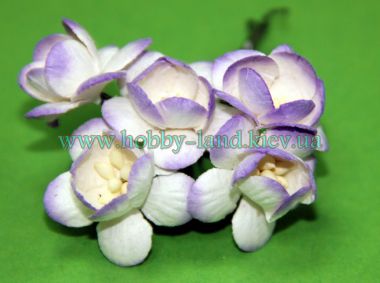 Цветы вишни бело-фиолетовые - 5 штук в 1 пучке  ― Hobby-Land