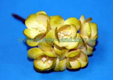 Цветы вишни желто-салатовый -  5 штук в 1 пучке  ― Hobby-Land