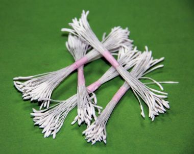 Длинные белые тычинки ― Hobby-Land