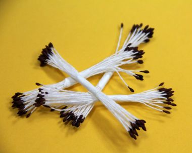 Тычинки цвета корицы ― Hobby-Land