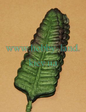 Лист пароротника 10шт в пучке   ― Hobby-Land
