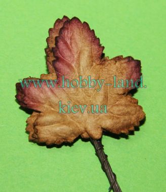  Лист винограда 10шт в пучке 8грн ― Hobby-Land