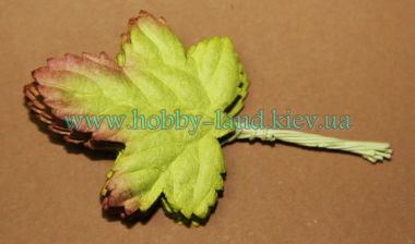 Лист винограда 10шт в пучке  ― Hobby-Land