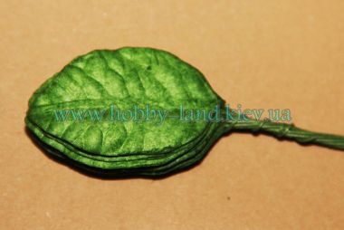 Лист универсальный декоративный  10шт в пучке ― Hobby-Land