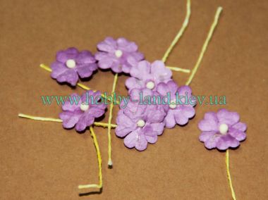 Декоративные цветы ― Hobby-Land