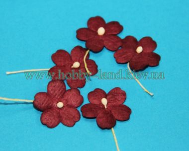 Декоративные цветы ― Hobby-Land
