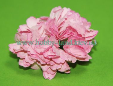 Гвоздика светло-розовая -  10 шт в пучке ― Hobby-Land