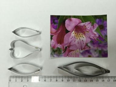 Каттер альстрамерии М-1 ― Hobby-Land